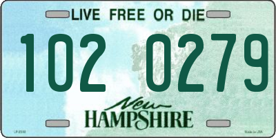 NH license plate 1020279