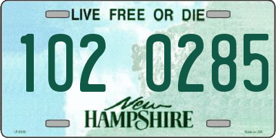 NH license plate 1020285