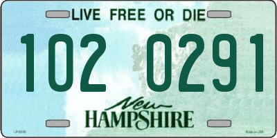 NH license plate 1020291