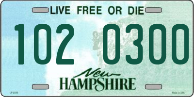 NH license plate 1020300