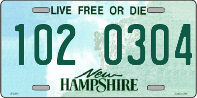 NH license plate 1020304