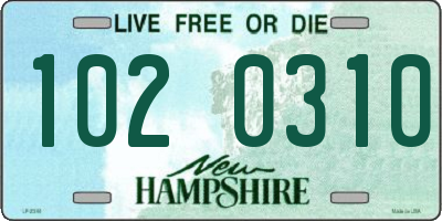 NH license plate 1020310