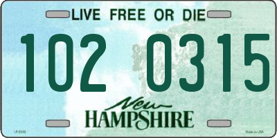 NH license plate 1020315