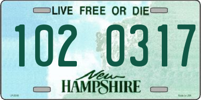 NH license plate 1020317