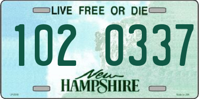 NH license plate 1020337