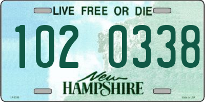 NH license plate 1020338