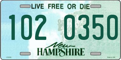 NH license plate 1020350