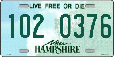 NH license plate 1020376