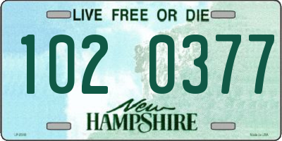 NH license plate 1020377