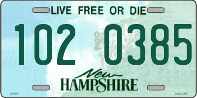 NH license plate 1020385