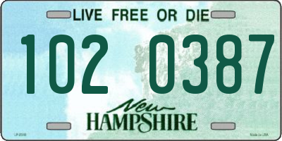 NH license plate 1020387