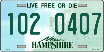NH license plate 1020407