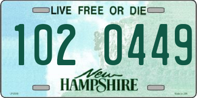 NH license plate 1020449