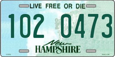 NH license plate 1020473