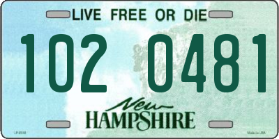 NH license plate 1020481