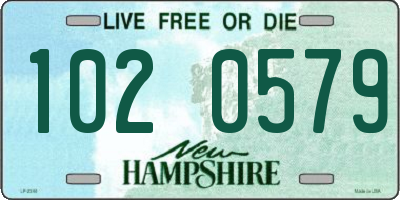 NH license plate 1020579