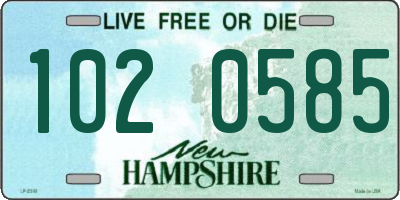 NH license plate 1020585