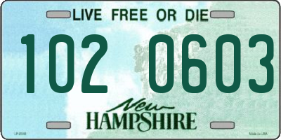 NH license plate 1020603