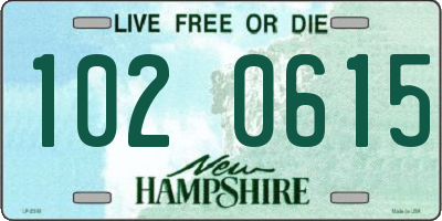 NH license plate 1020615