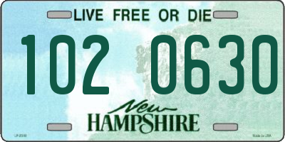 NH license plate 1020630