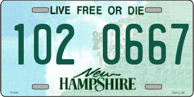 NH license plate 1020667