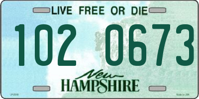 NH license plate 1020673