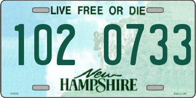 NH license plate 1020733