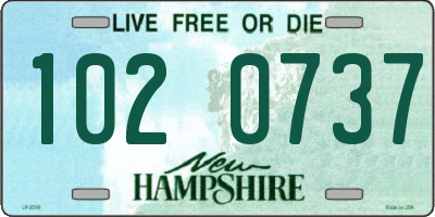 NH license plate 1020737