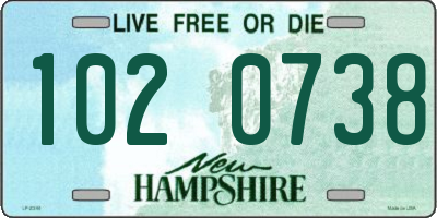 NH license plate 1020738