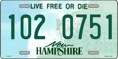 NH license plate 1020751