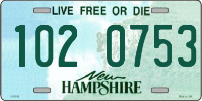 NH license plate 1020753