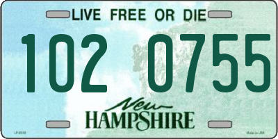 NH license plate 1020755