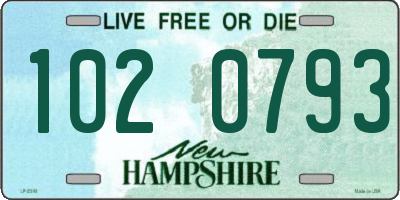 NH license plate 1020793