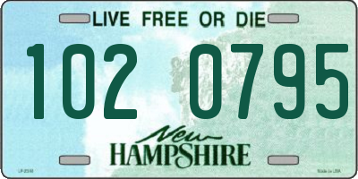 NH license plate 1020795