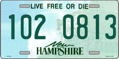 NH license plate 1020813