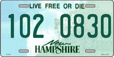 NH license plate 1020830