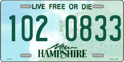 NH license plate 1020833