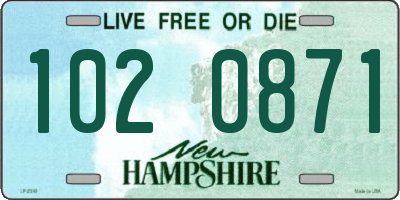 NH license plate 1020871