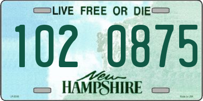 NH license plate 1020875