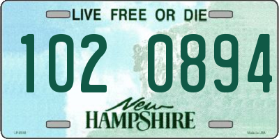 NH license plate 1020894