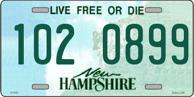 NH license plate 1020899