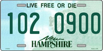 NH license plate 1020900