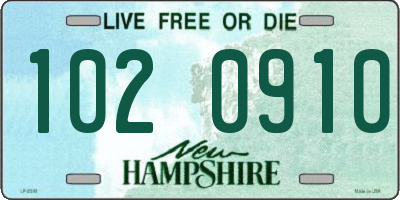 NH license plate 1020910