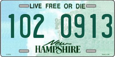 NH license plate 1020913