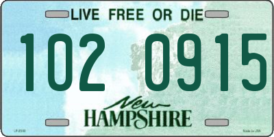 NH license plate 1020915