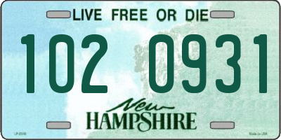 NH license plate 1020931