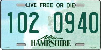 NH license plate 1020940
