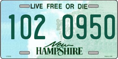 NH license plate 1020950