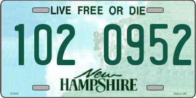 NH license plate 1020952