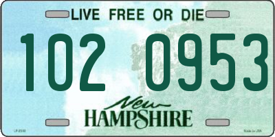NH license plate 1020953